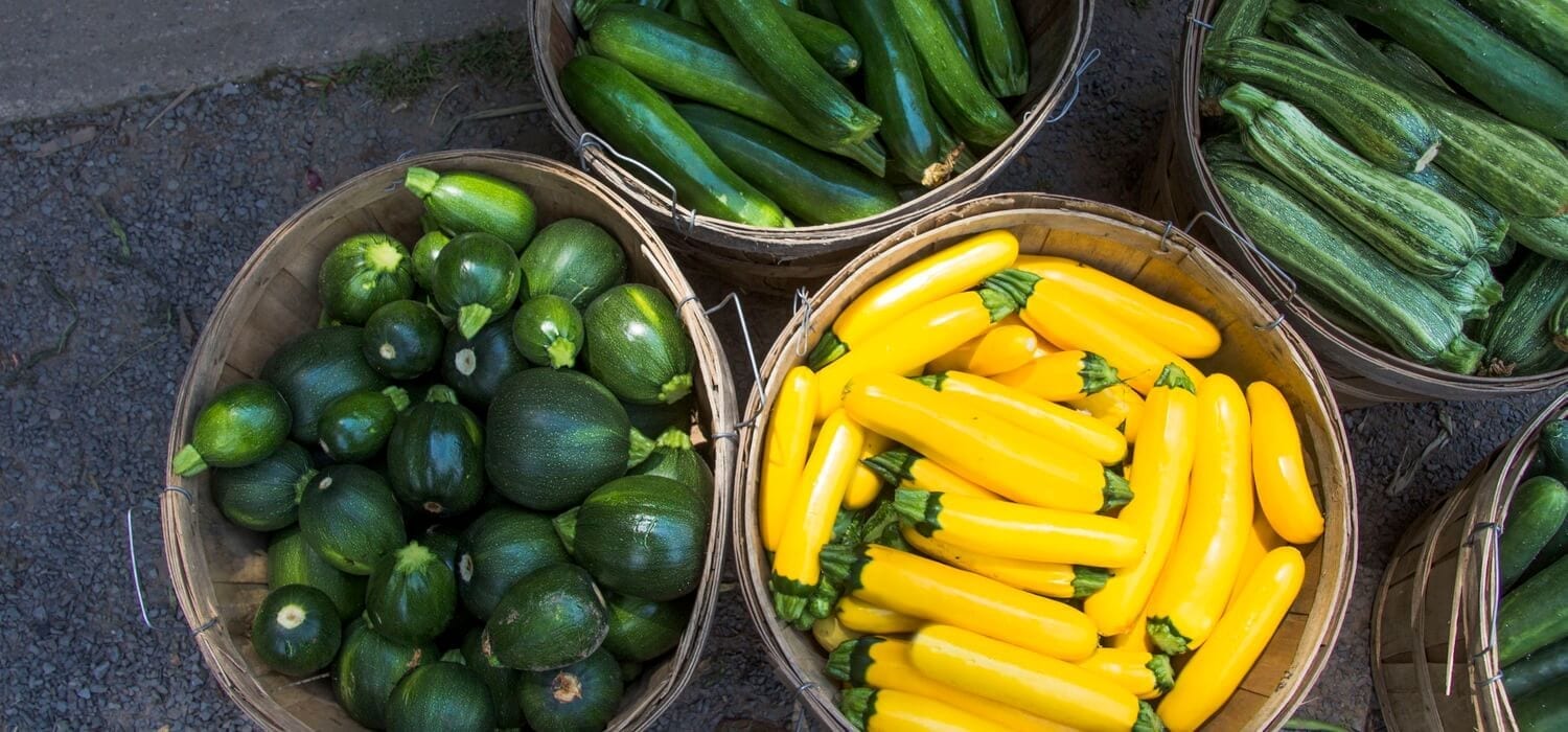 JAH'S CREATION Organic Farm