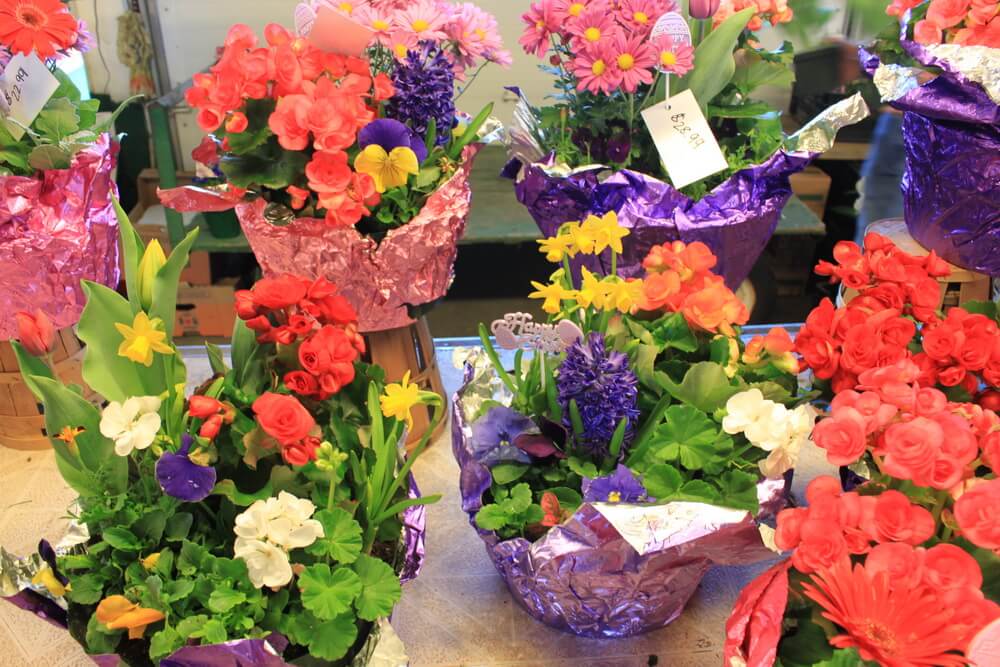 fresh flowers