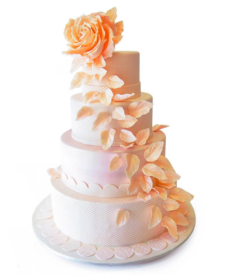 NJ Weddings-Pink Cake Box-Rose Wedding Cake
