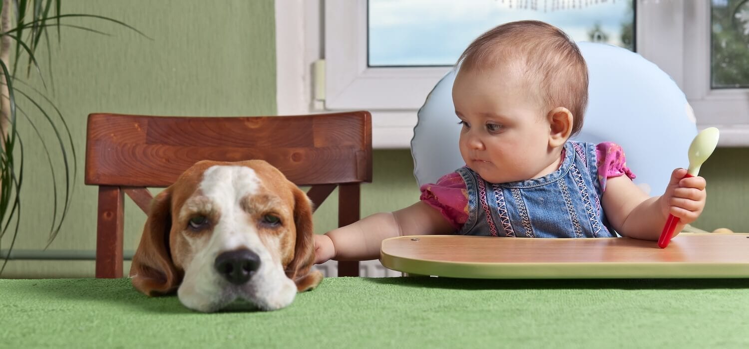 NJ Family-Babysitting little girl with dog