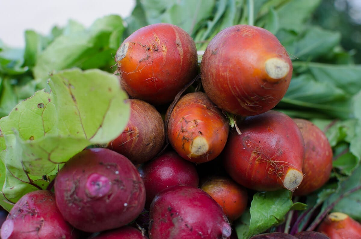 montgomery famers market