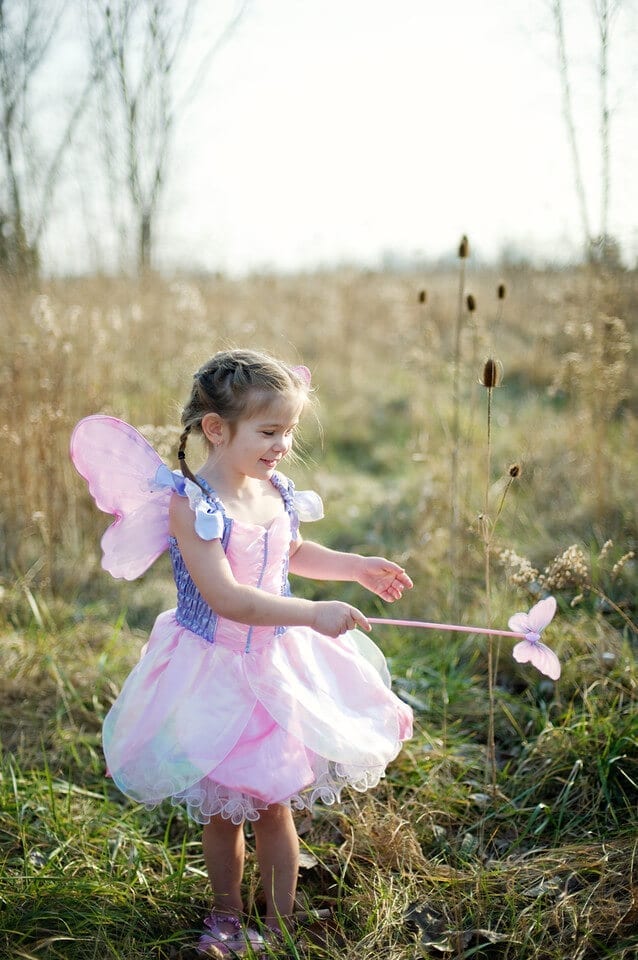 NJ Halloween-Fairy Costume