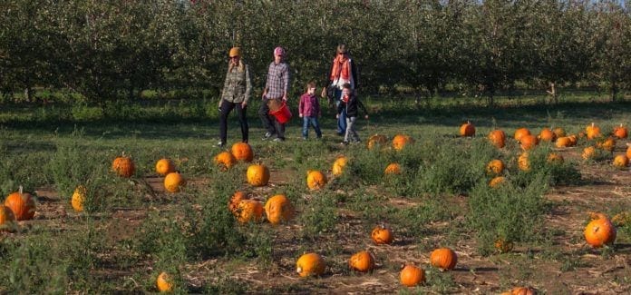 NJ Fall-Halloween-Hunting Pumpkins