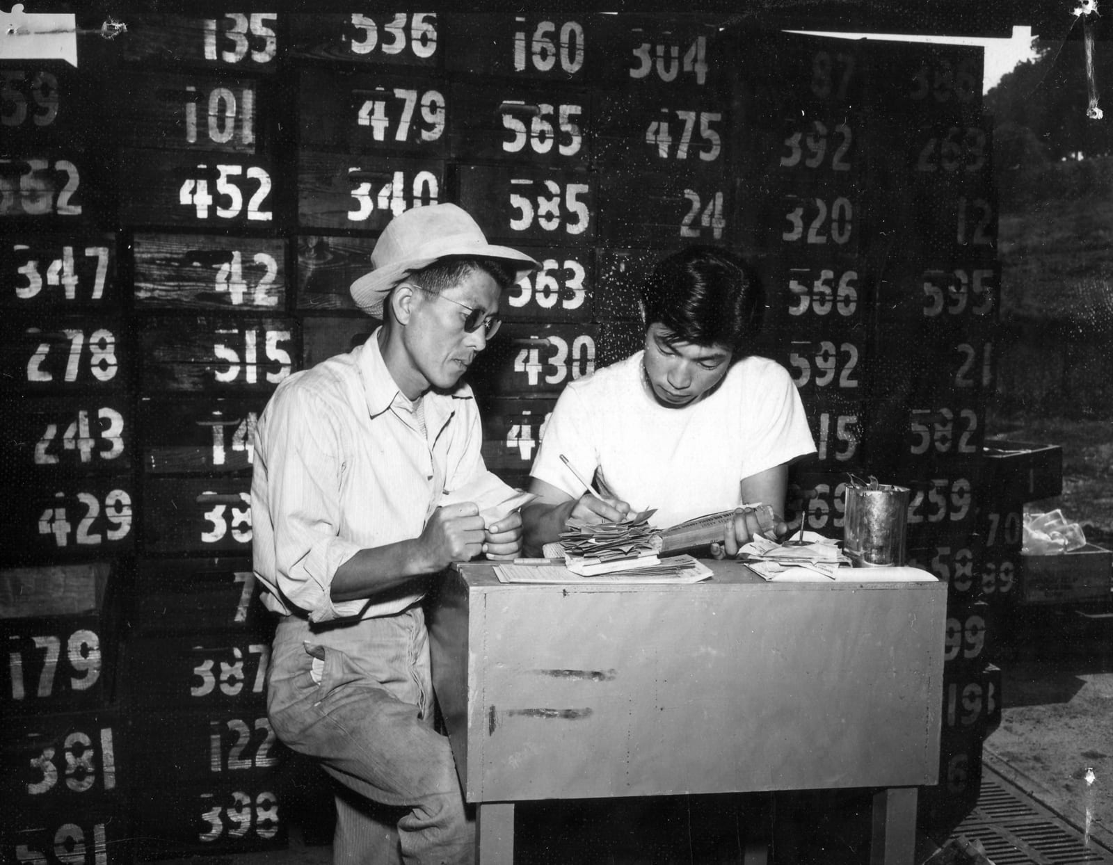 Air-lifted peas being counted