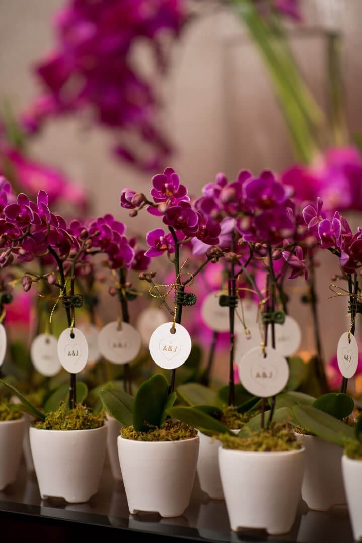 Valentine's Day Wedding Ideas