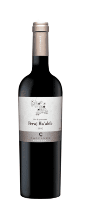 Kosher Wine: 6 Wines to Try This Passover