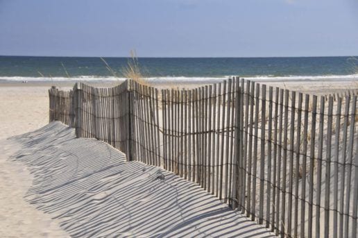 Wildwood 