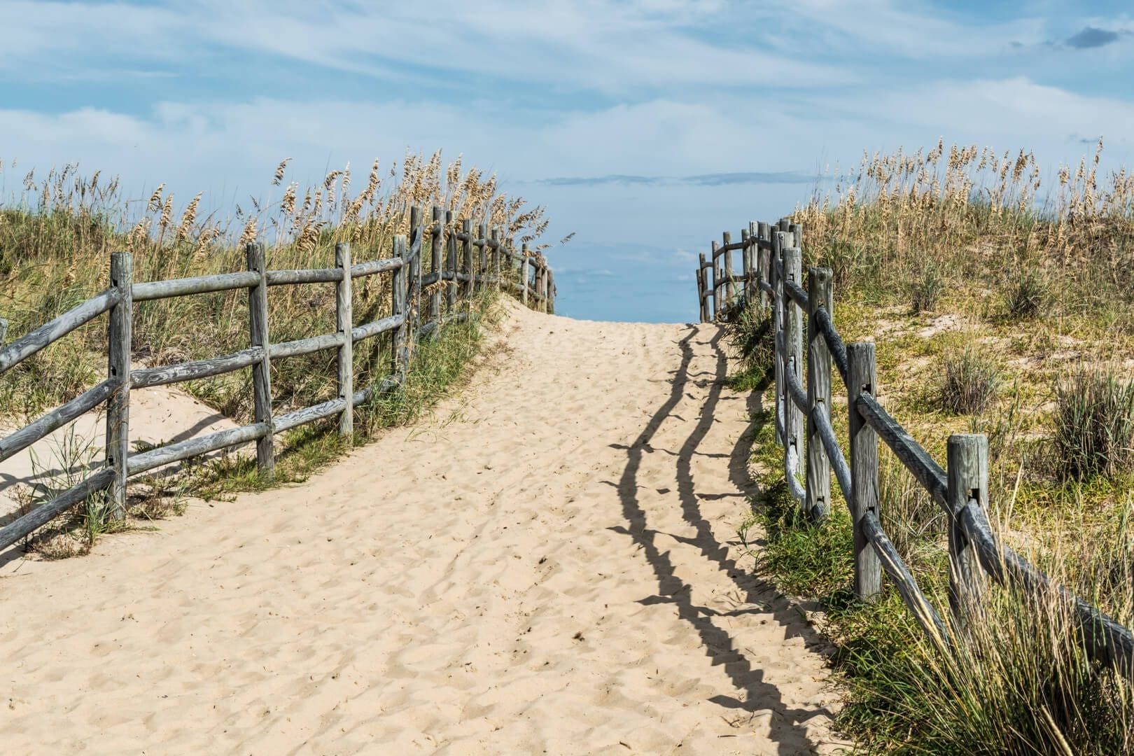 Summer at the Shore