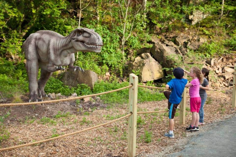 Take Your TV-Loving Kids to These Fun Spots