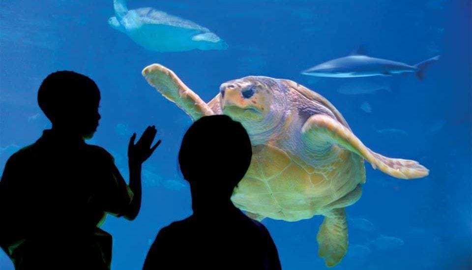 Take Your TV-Loving Kid Outside to These Fun Spots