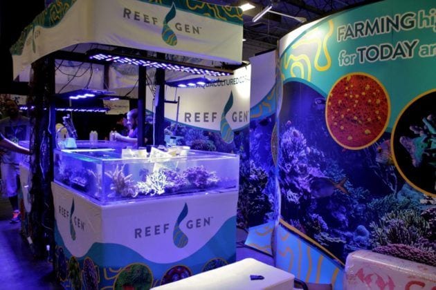 Reef-A-Palooza