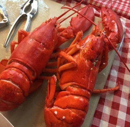 The Best of: The Highlands Clam Fest