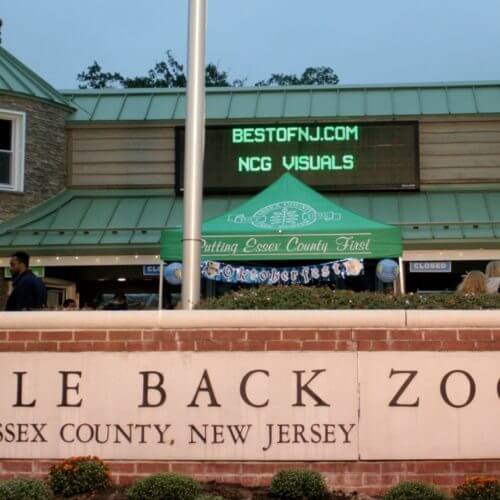 alesntailsoktoberfest2-e1475845202557-500x500