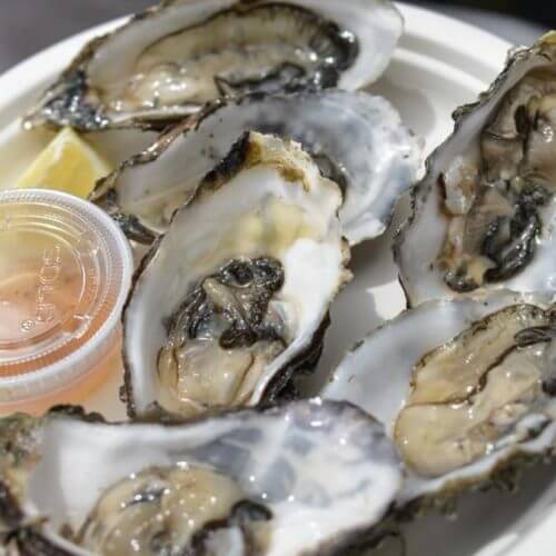 oysterfest5-500x500