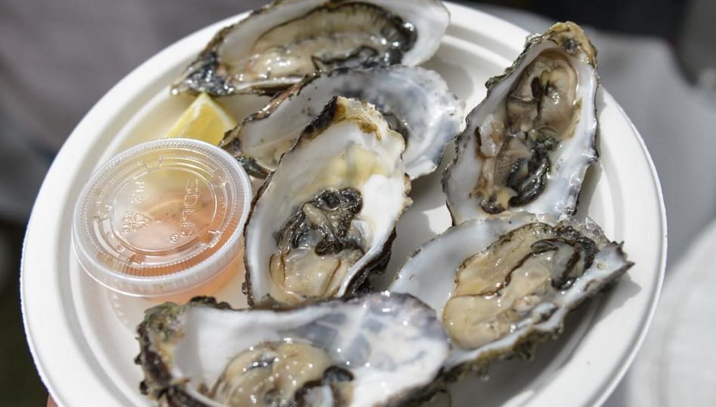 The Best of: Hoboken Oysterfest