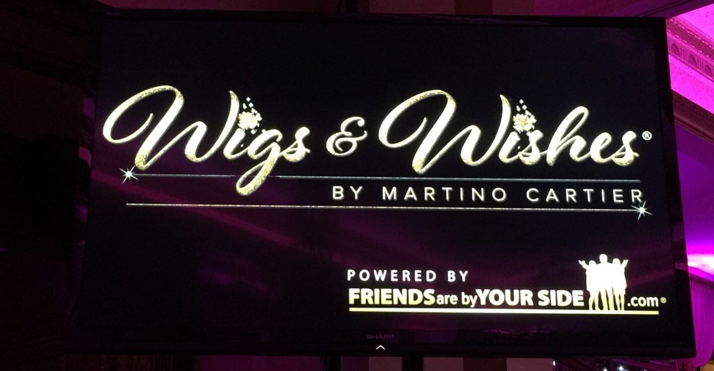 The Best of A Night of Wigs and Wishes Best of NJ