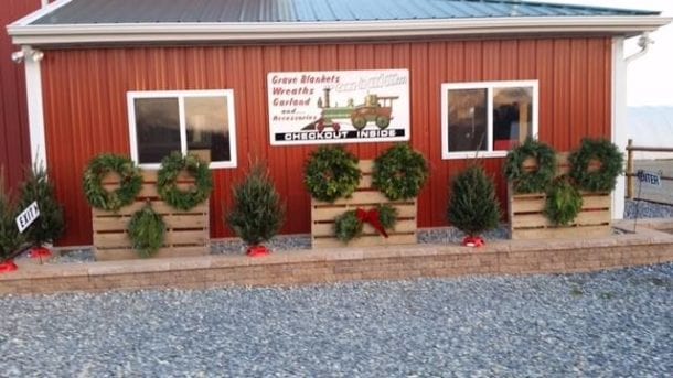 red building displaying wreaths and mini trees