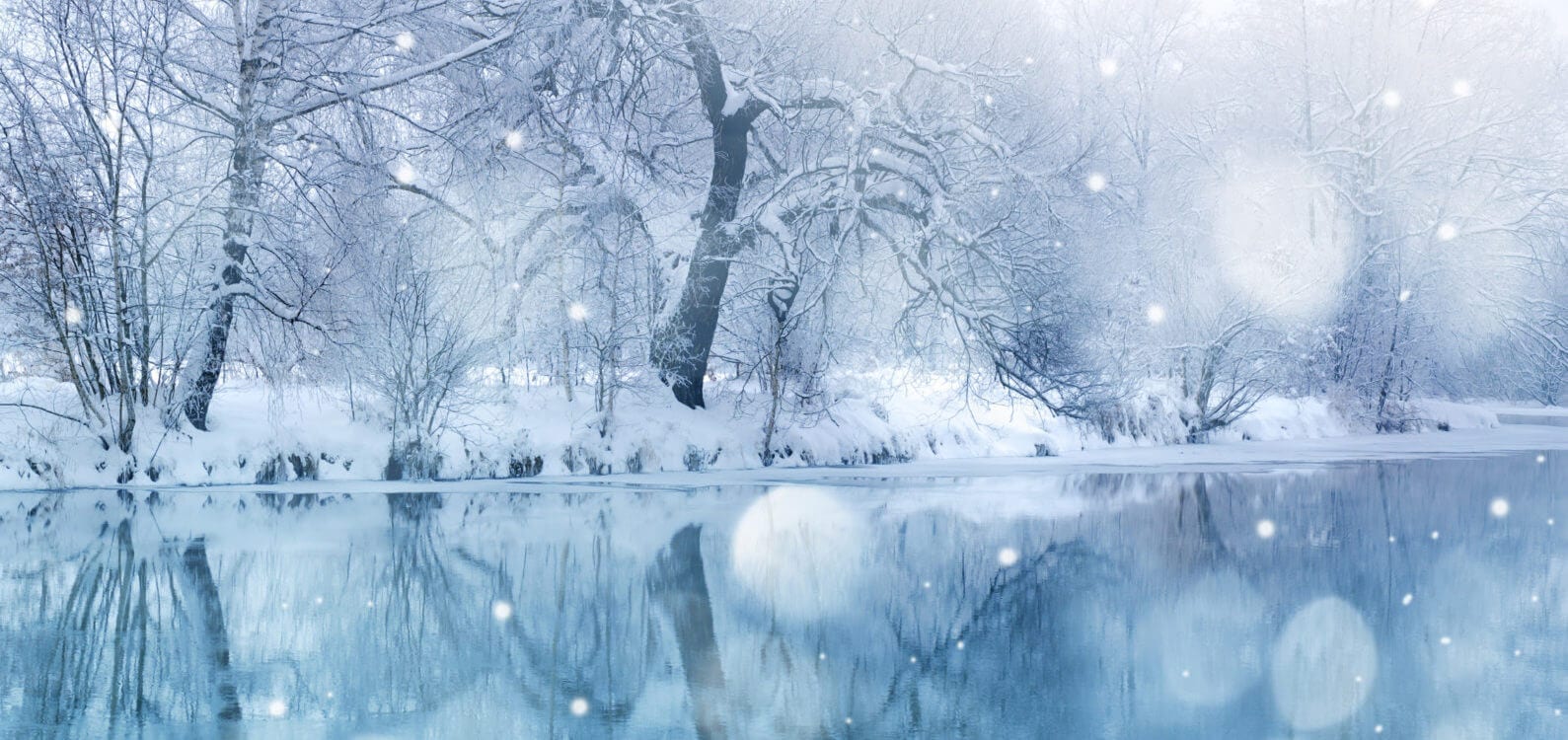 winter scene