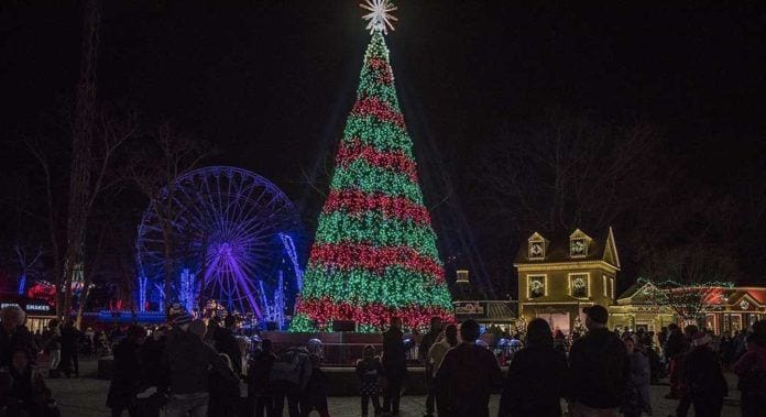 Market Street Accepting Nominations for 2022 Tree Lighting