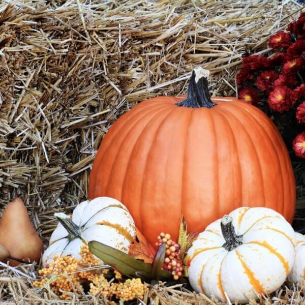 October Fairs & Festivals