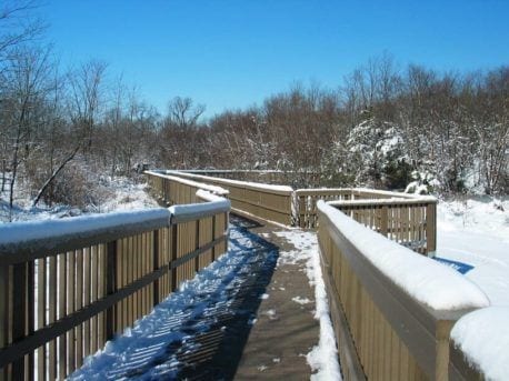 cross-country skiing