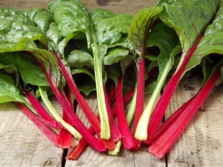 spring seed planting