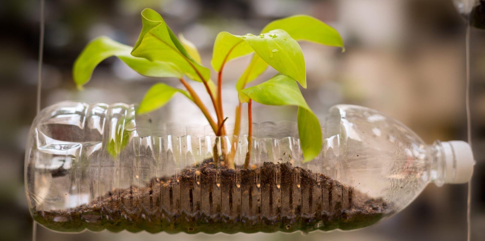 Reducing Household Plastic Waste for Earth Day