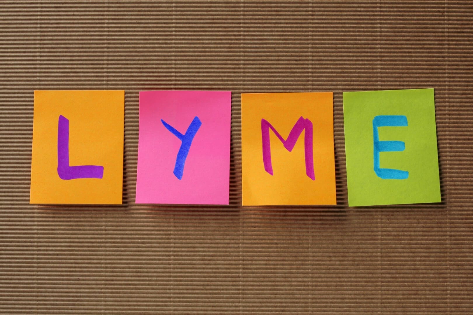 Lyme Disease Prevention Tips