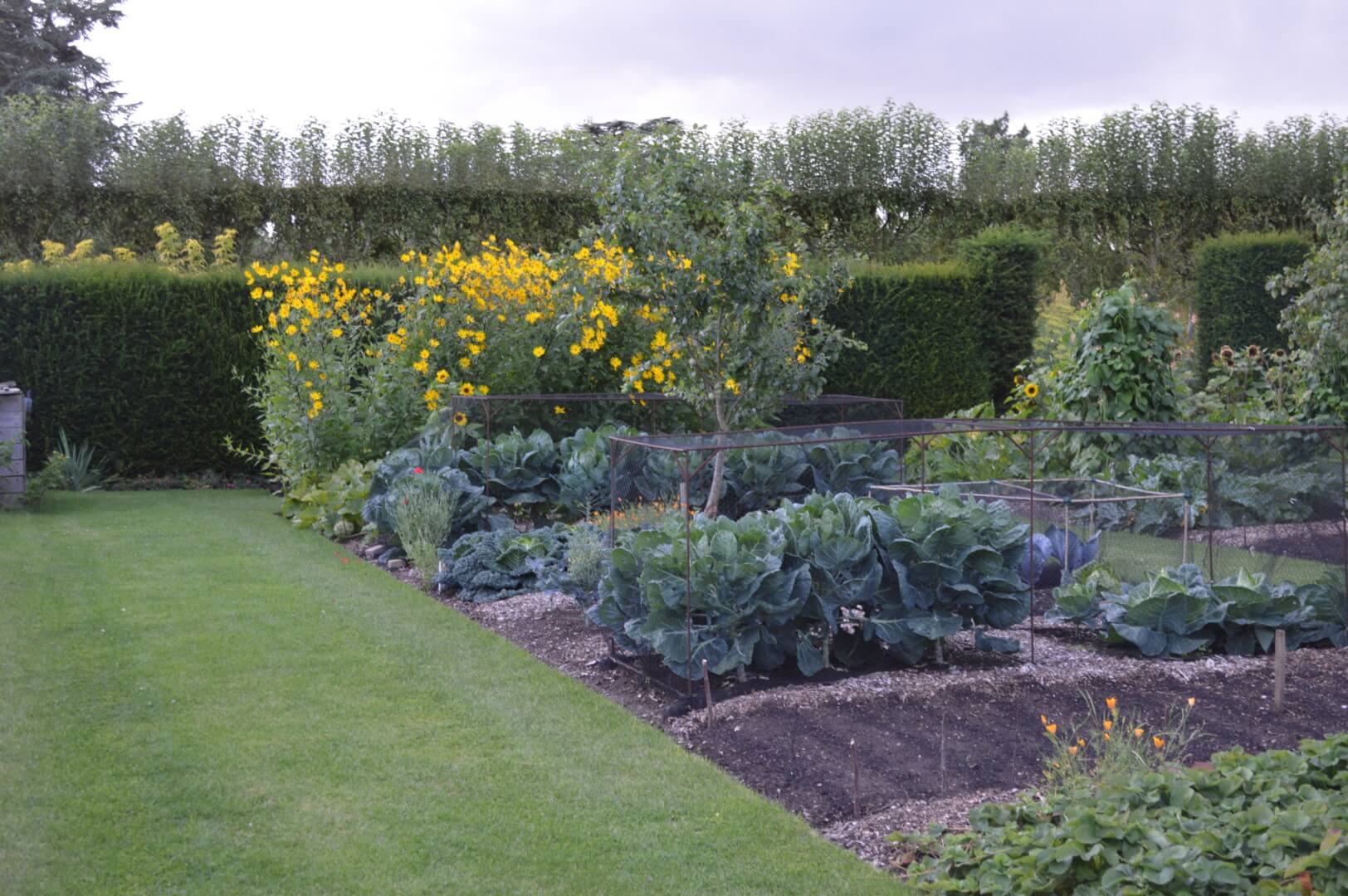 Healthy Benefits of Gardening