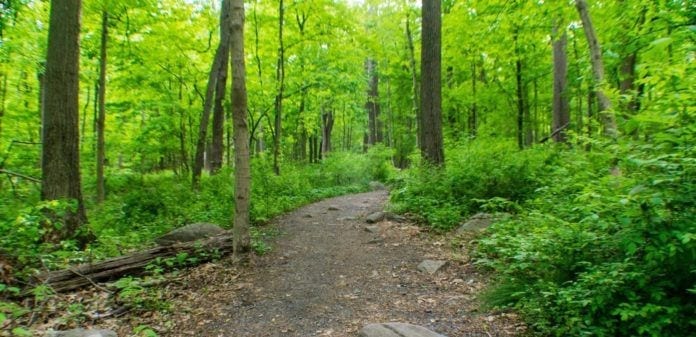 Best Hiking Spots in New Jersey