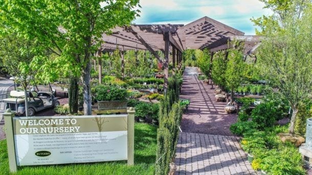 rutgers landscape, gardening