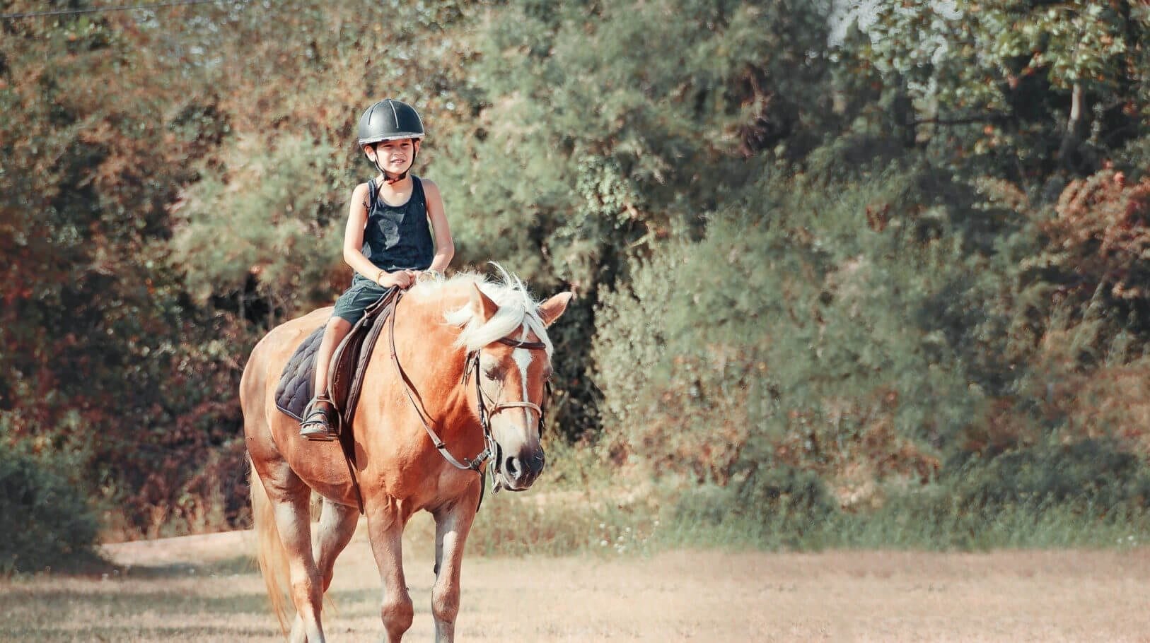 horseback riding