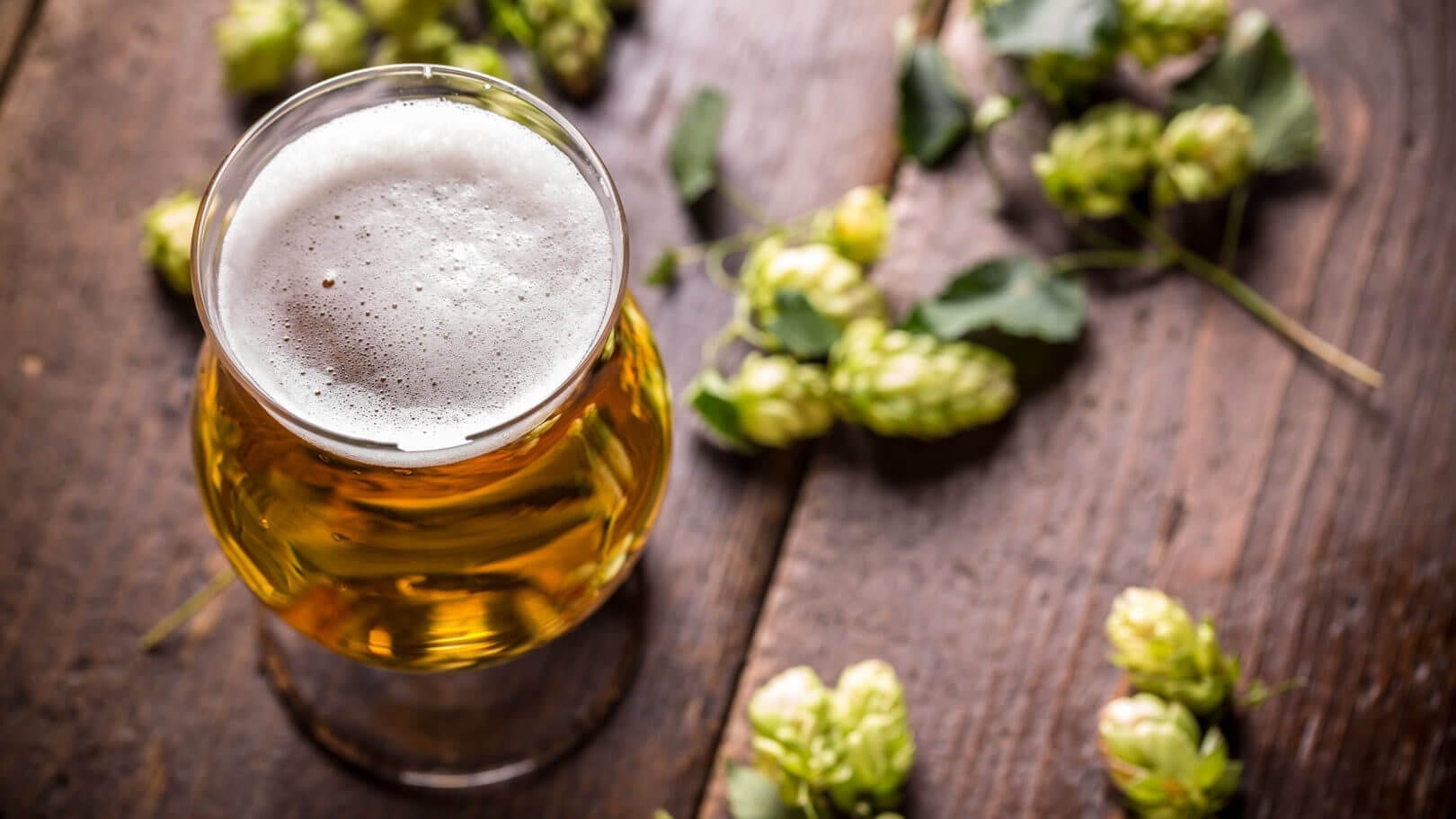 farmhouse beers, labor day