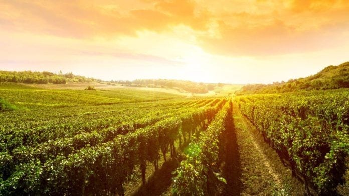 wine events, fall wine events