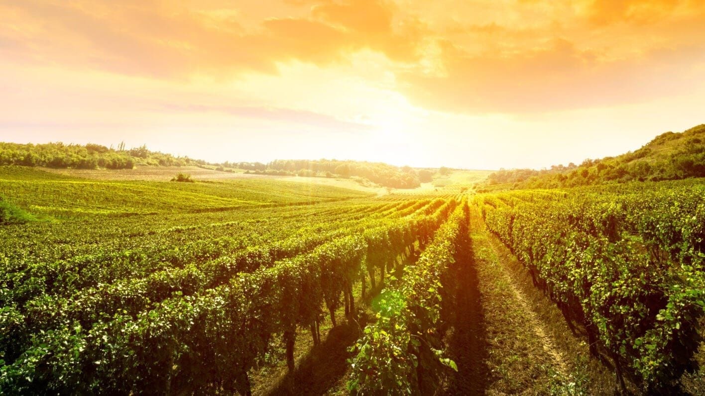 wine events, fall wine events