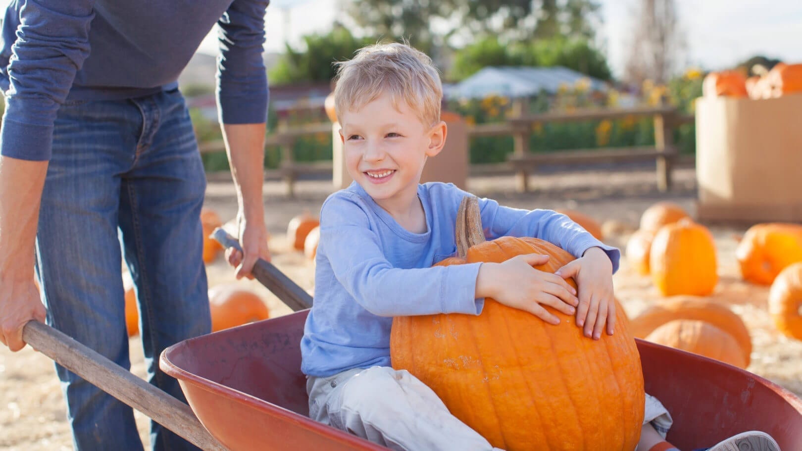 fall festivals, new jersey farms