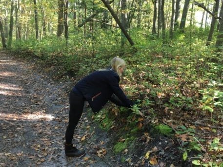 Ardha Hanumanasana, Half Split Pose