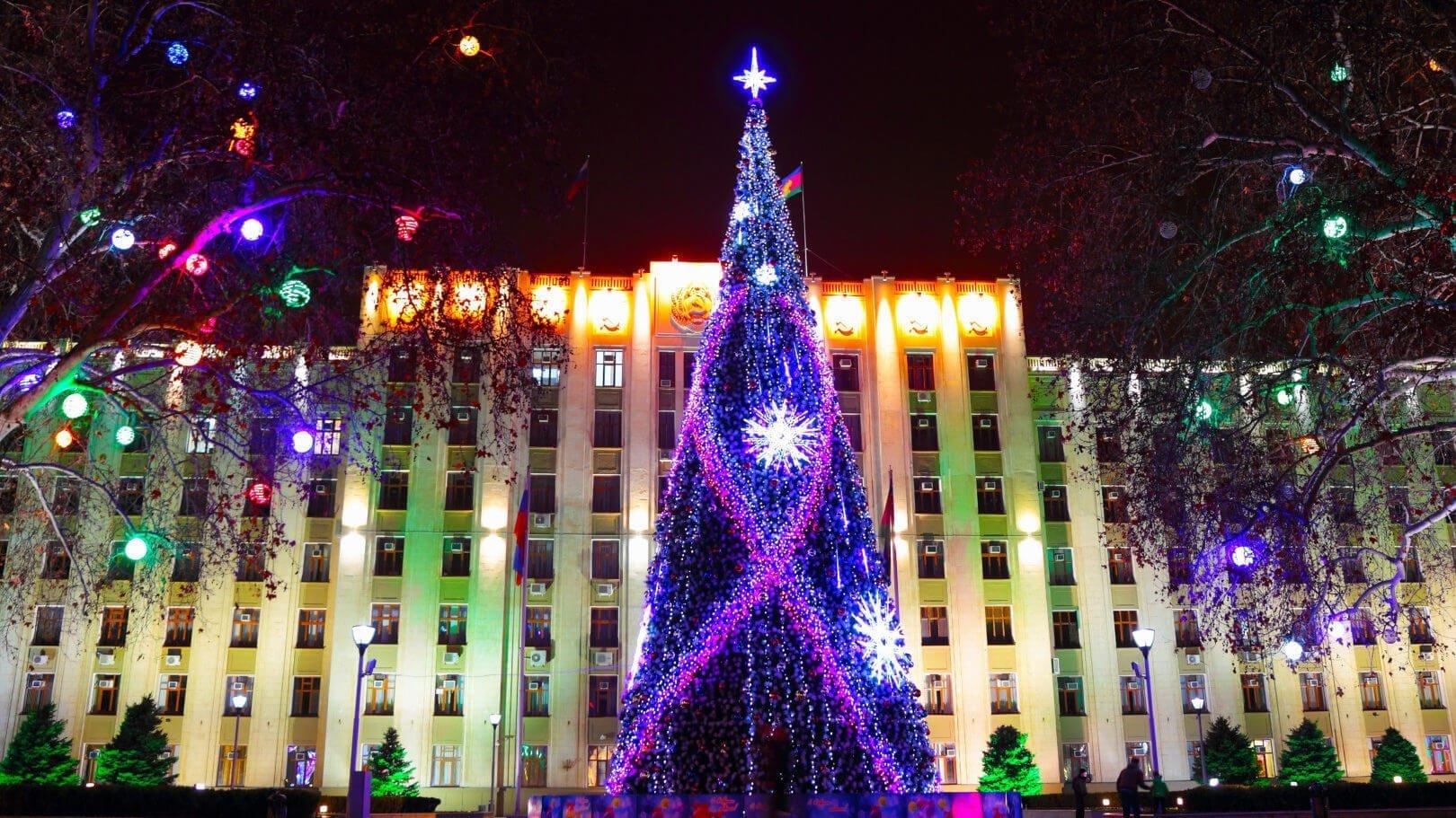 holiday tree lighting, tree lighting