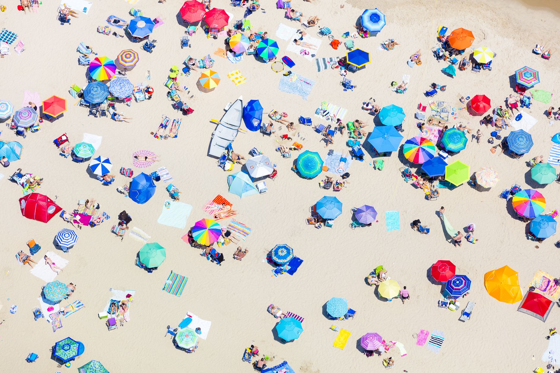 Painting from Chloe Masco