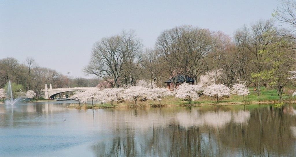 Essex County NJ Park