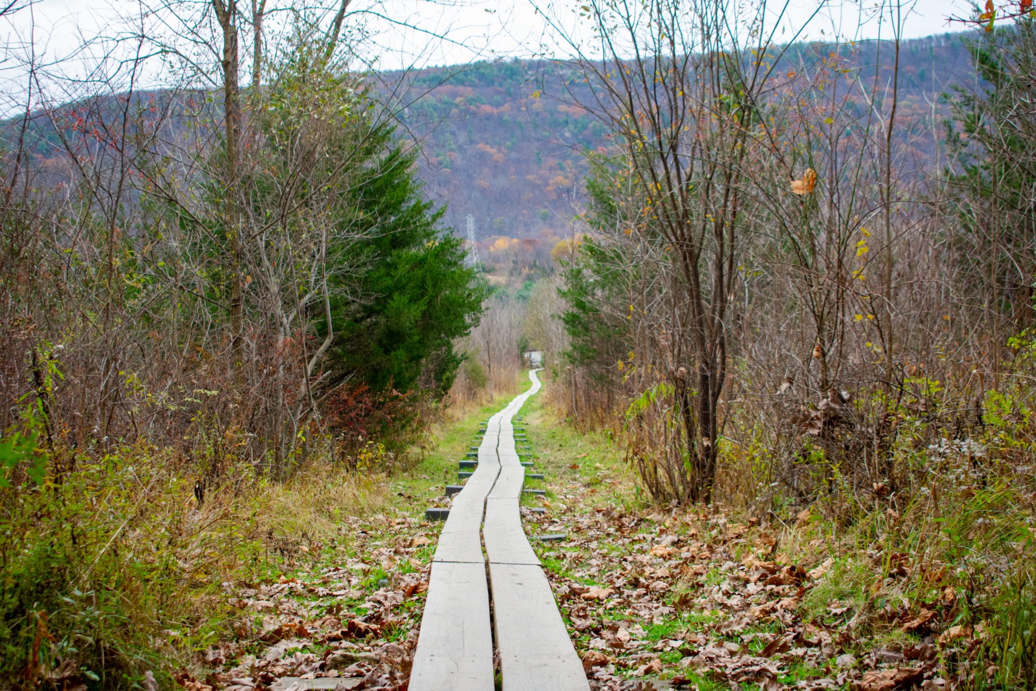 View from the Boardwalk