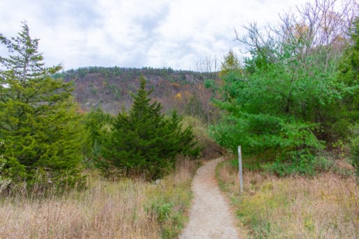 White Marker on Stairway to Heaven Trail