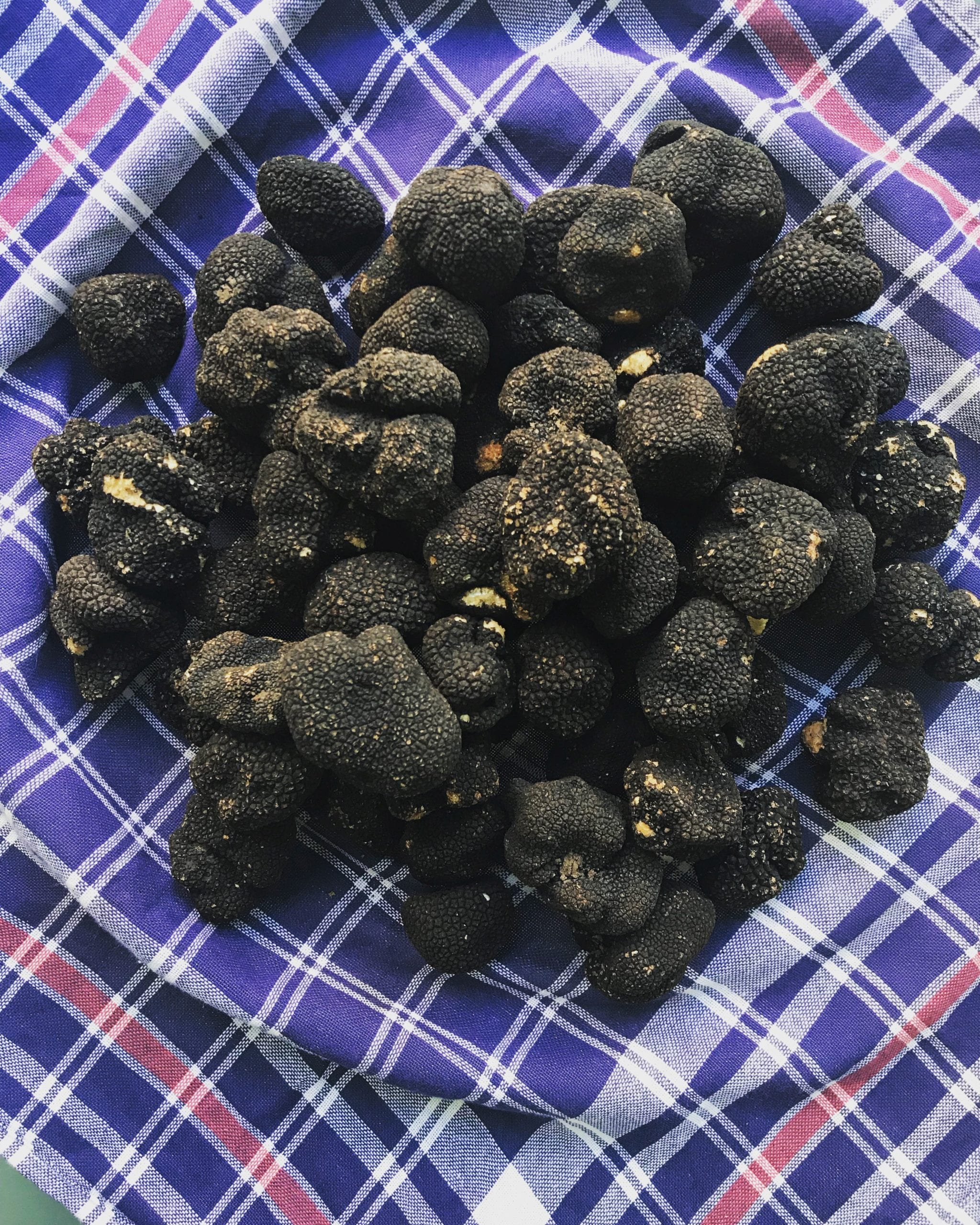 Summer Truffles Meal Delivery Kit