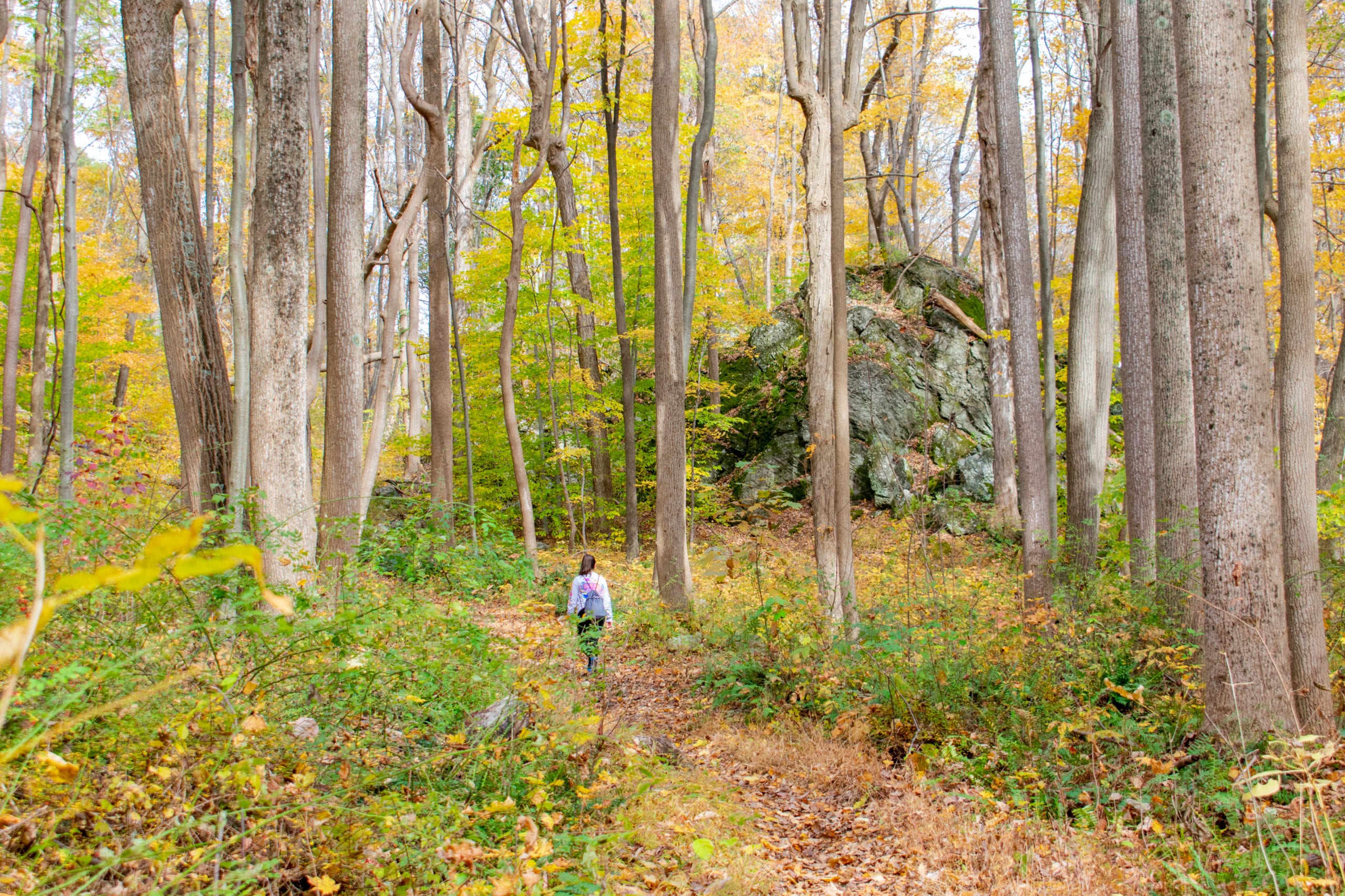 Person standing next to large rock formation