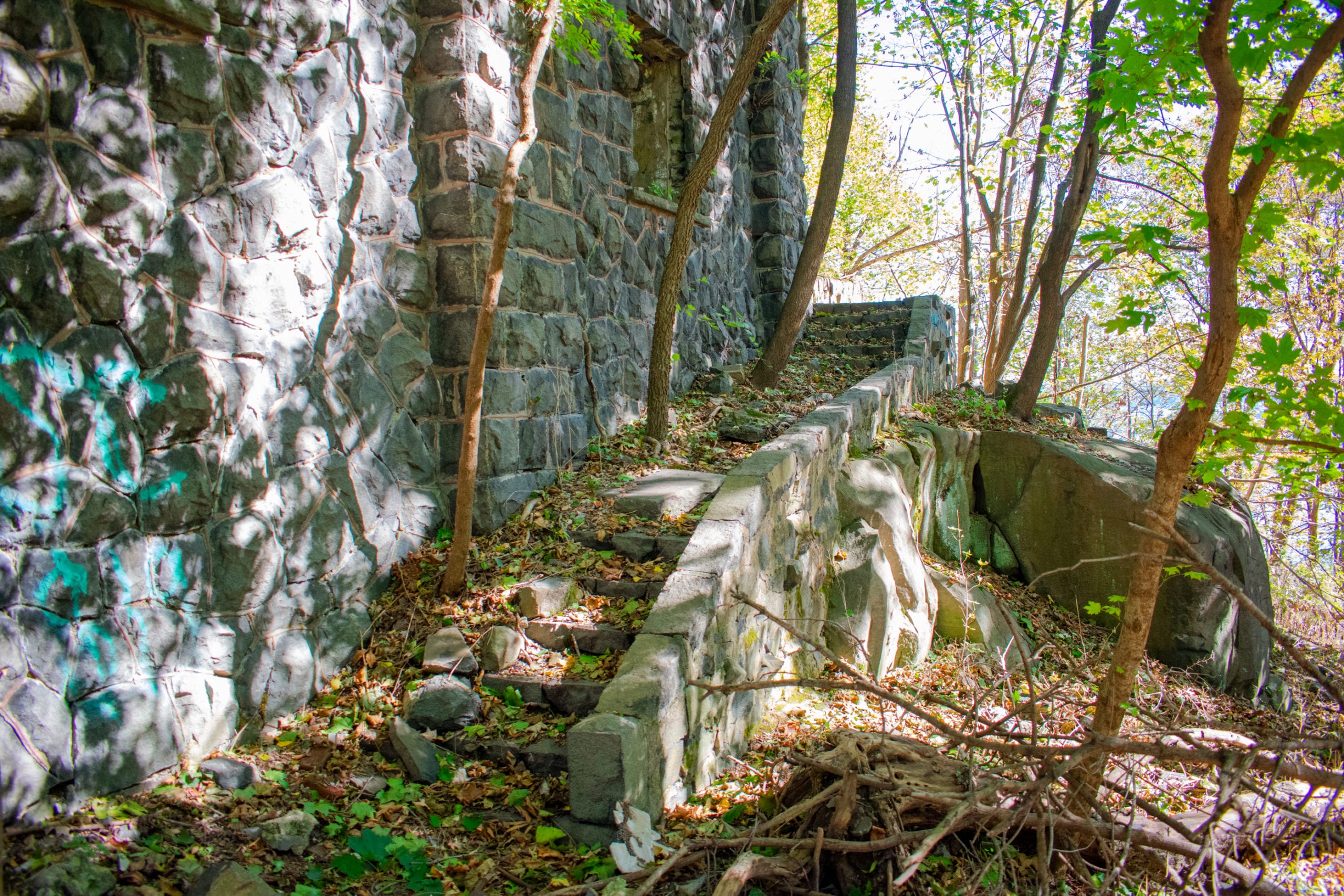 Steps Leading to Manor
