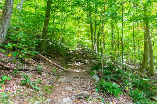 Schooleys Mountain Trail