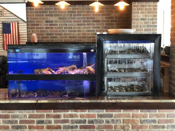 Saltwater Tanks with Lobster and Oysters