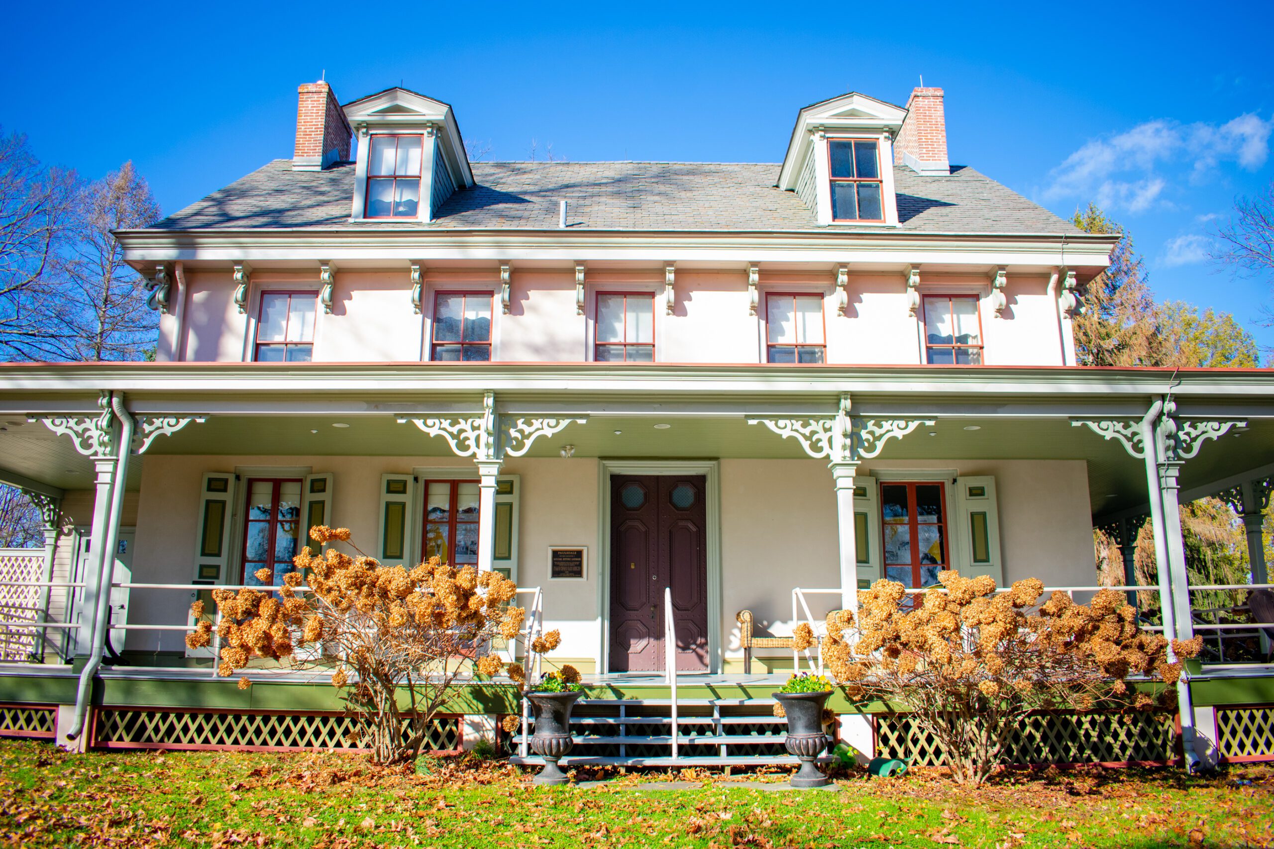 Alice Paul Institute