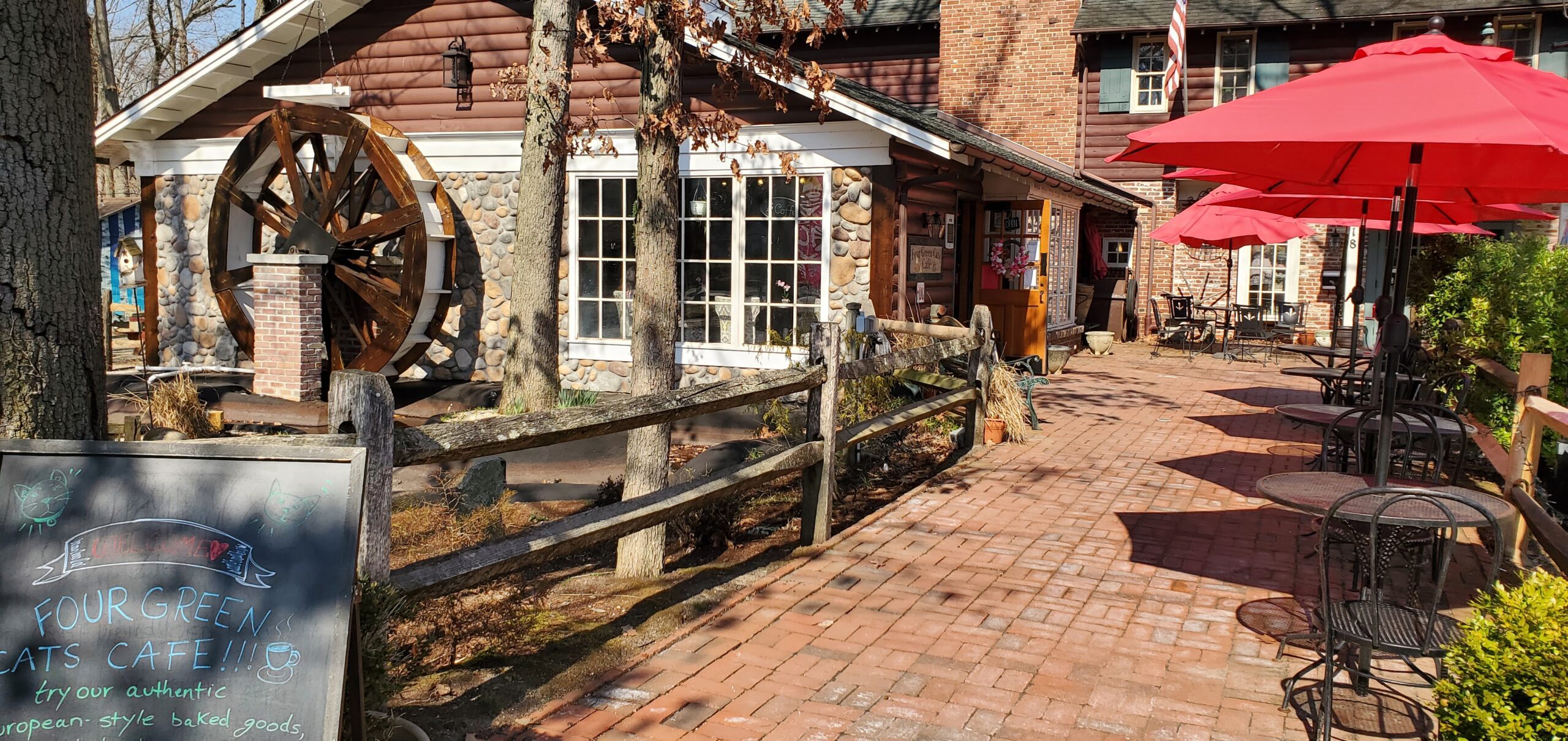 Four Green Cats Exterior