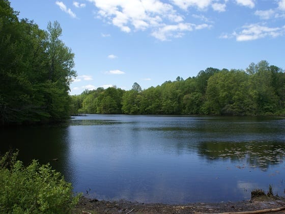 Davidson's Mill Pond